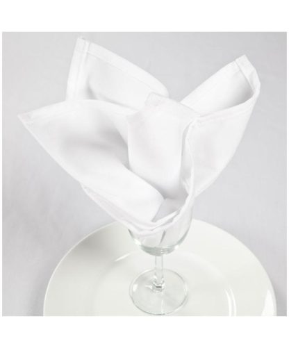 NAPKIN 20X20 WHITE PER DOZEN