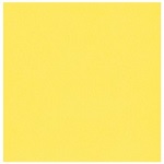 MICRO FIBER WIPES TBD - CASE OF 12 PACK