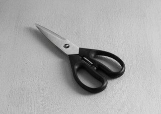 KITCHEN SHEAR EASY CLEANING
