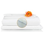 T200 SHEET QUEEN FIT 60X80X12 - DOZEN