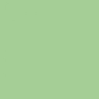 DINNER NAPKIN 2 PLY GREEN 39X39CM - CASE OF 24 PACK