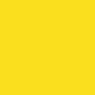 DINNER NAPKIN 2 PLY YELLOW 39X39CM - CASE OF 24 PACK