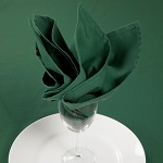 NAPKIN 20X20" GREEN - PACK OF 25 EACH