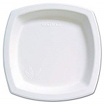 SQUARE SUGAR CANE PLATE TBD - PACK OF 125 EACH
