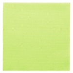 DINNER NAPKIN 2 PLY GREEN 33X33CM TBD - CASE OF 24 PACK