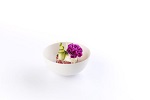 BAGASTRO BOWL ROUND Ø9CM - CASE OF 12 PACK