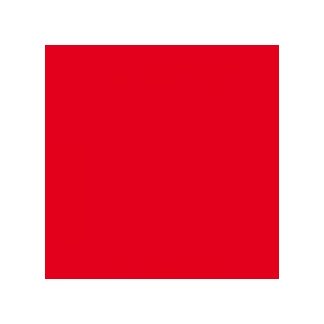 DINNER NAPKIN 2 PLY RED 39X39CM - PACK OF 50 EACH