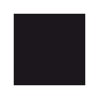 DINNER NAPKIN 2 PLY BLACK 39X39CM - PACK OF 50 EACH