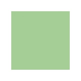 DINNER NAPKIN 2 PLY GREEN 39X39CM - PACK OF 50 EACH
