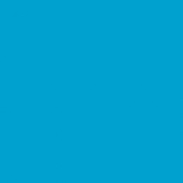 DINNER NAPKIN 2 PLY TURQUOISE 39X39CM - PACK OF 50 EACH