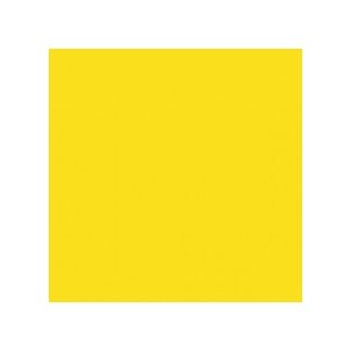 DINNER NAPKIN 2 PLY YELLOW 39X39CM - PACK 0F 50 EACH