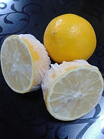 LEMON WRAPS - PACK OF 100 EACH