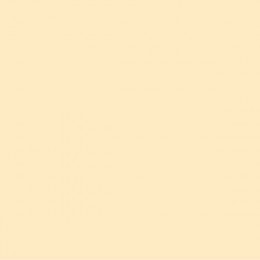 DINNER NAPKIN 2PLY IVORY 33X33CM - PACK OF 50 EACH