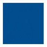 BEVERAGE NAPKIN 2 PLY NAVY BLUE - CASE OF 24 PACK