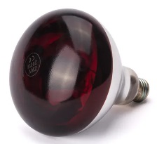 HEATLAMP,INFRARED, 250W RED